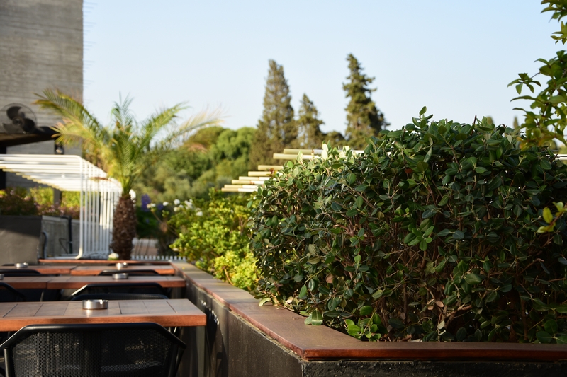 Kitchen Yard on Friday